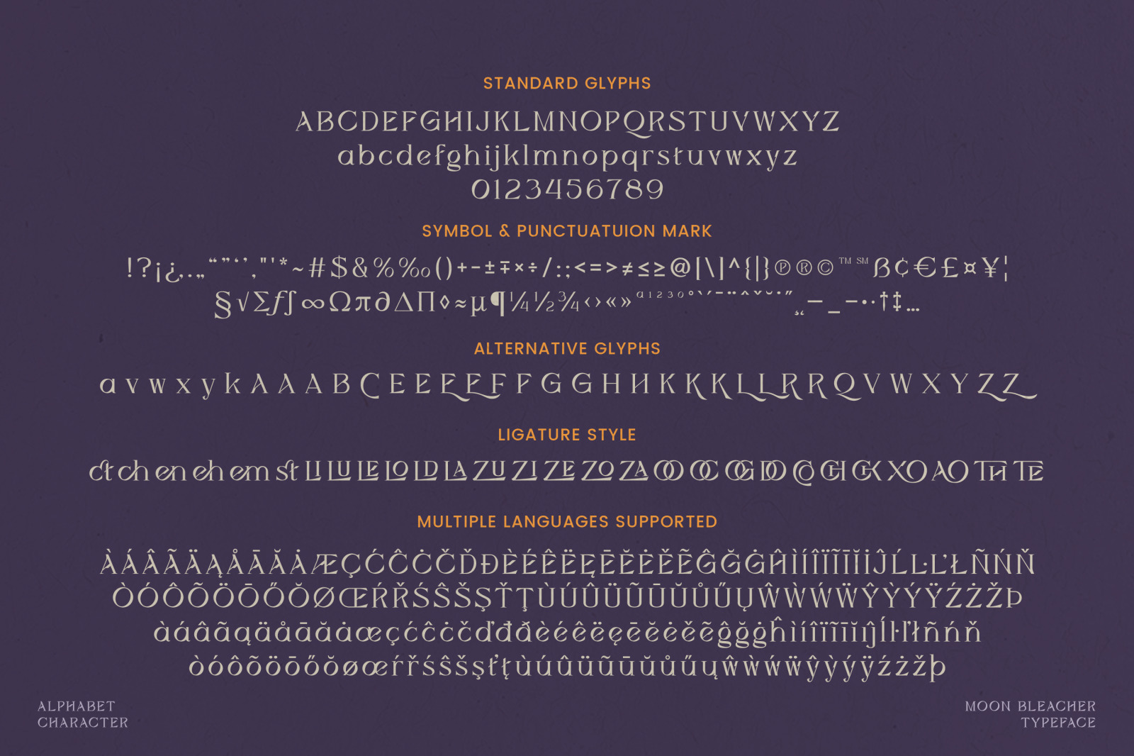 Moon Bleacher - Display Experimental Serif Font