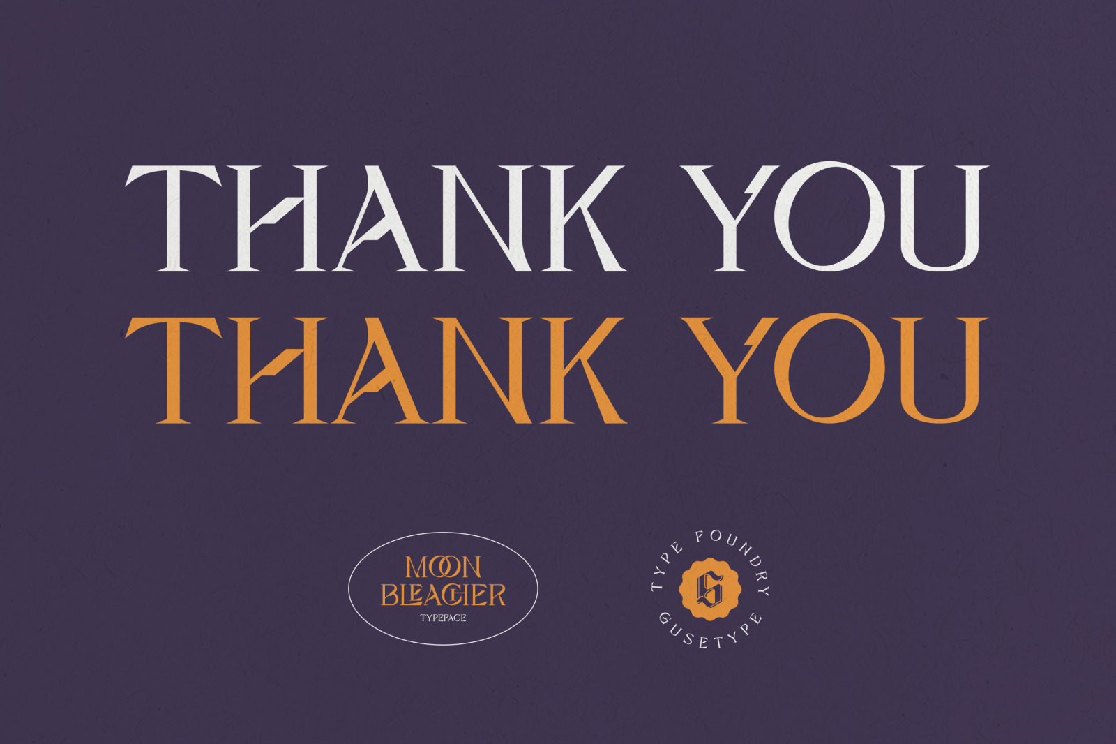Moon Bleacher - Display Experimental Serif Font Moon Bleacher - Display Experimental Serif Font