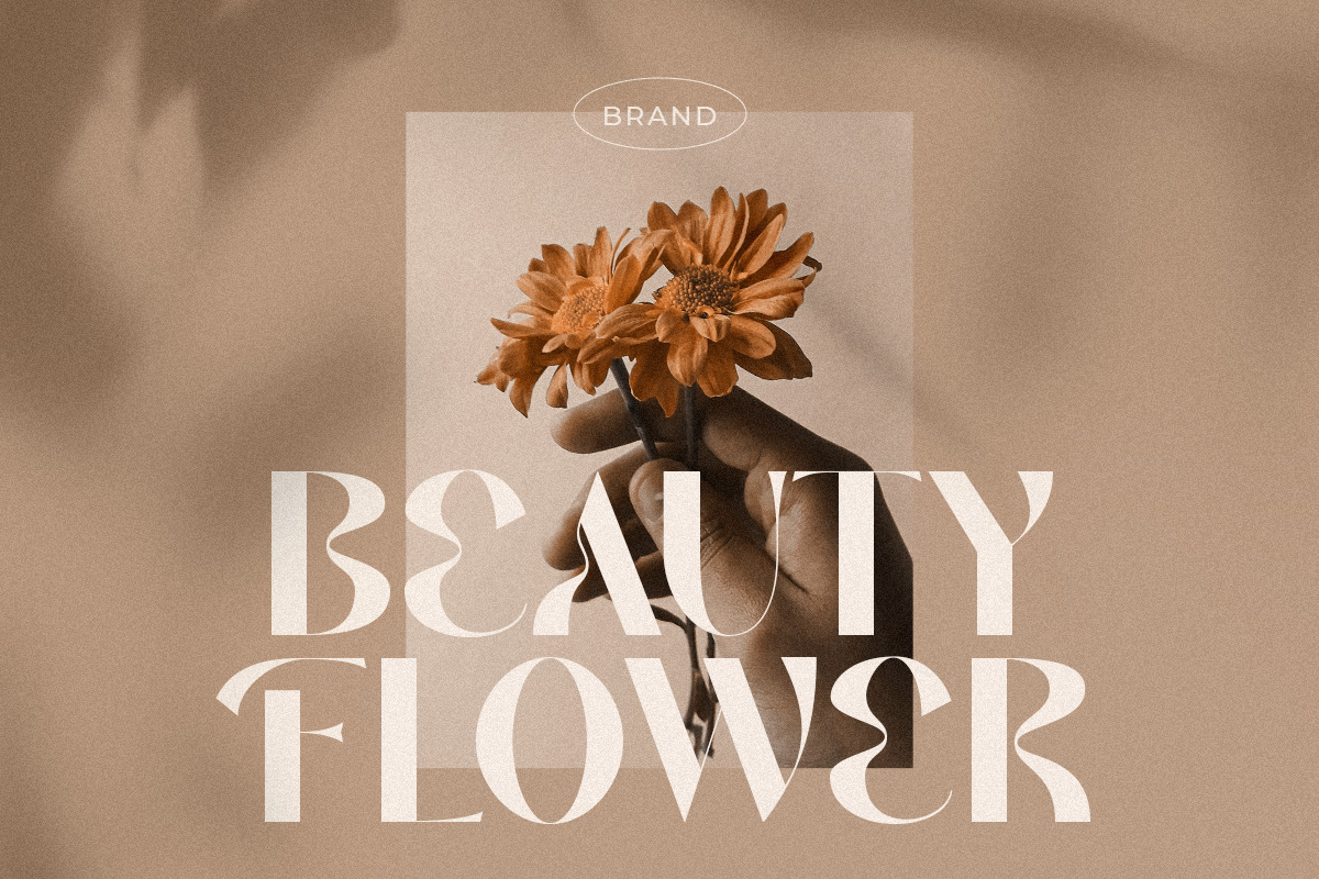 Aldora - Modern Display Font Aldora - Modern Display Font