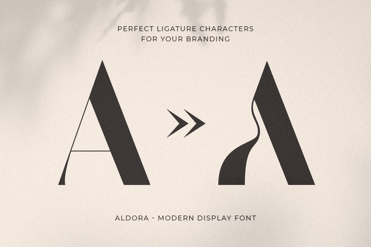 Aldora - Modern Display Font Aldora - Modern Display Font