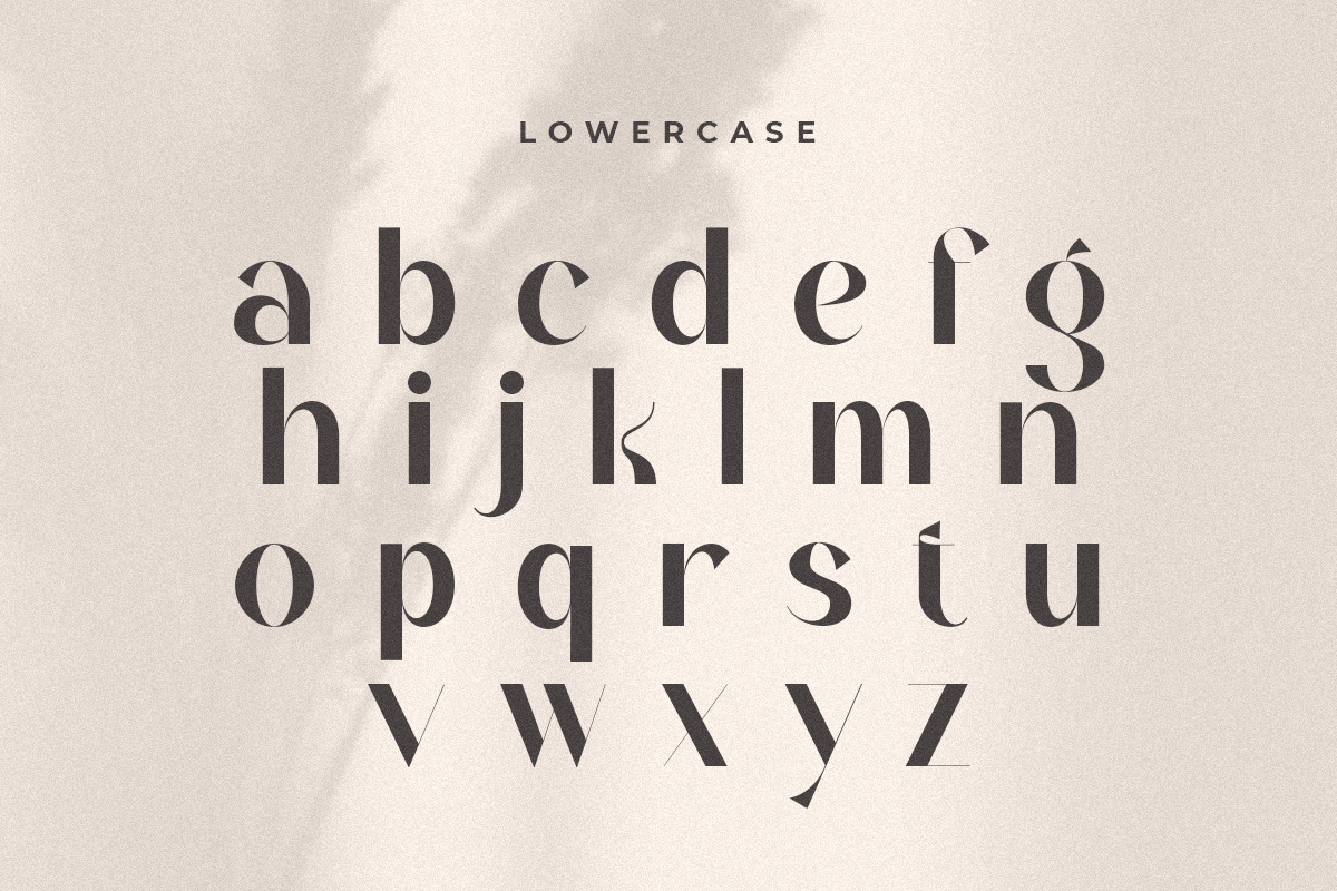 Aldora - Modern Display Font Aldora - Modern Display Font