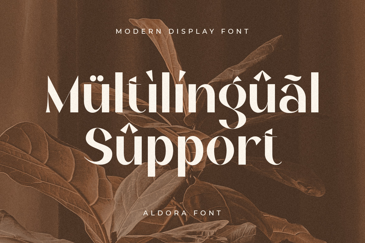 Aldora - Modern Display Font Aldora - Modern Display Font