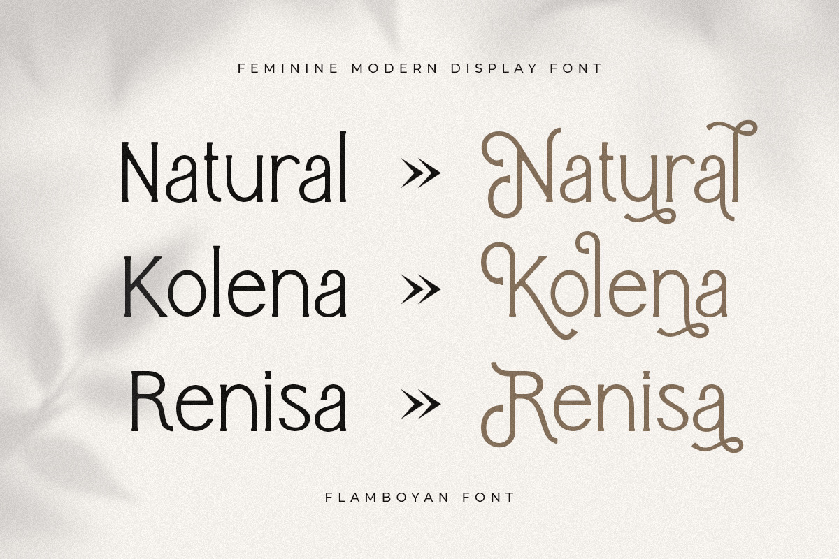Flamboyan - Feminine Modern Display Font Flamboyan - Feminine Modern Display Font
