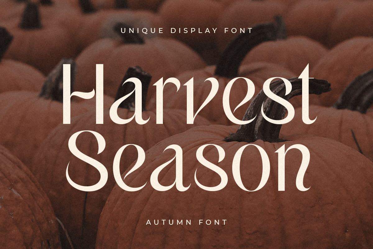 Autumn - Unique Display Font