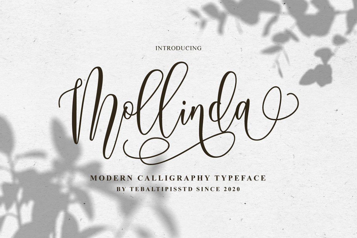 Mollinda - Modern Script Typeface