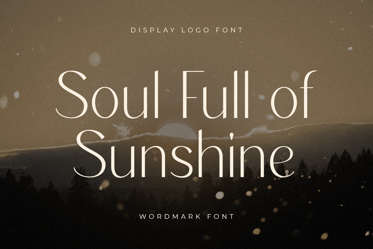 Wordmark - Display Logo Font