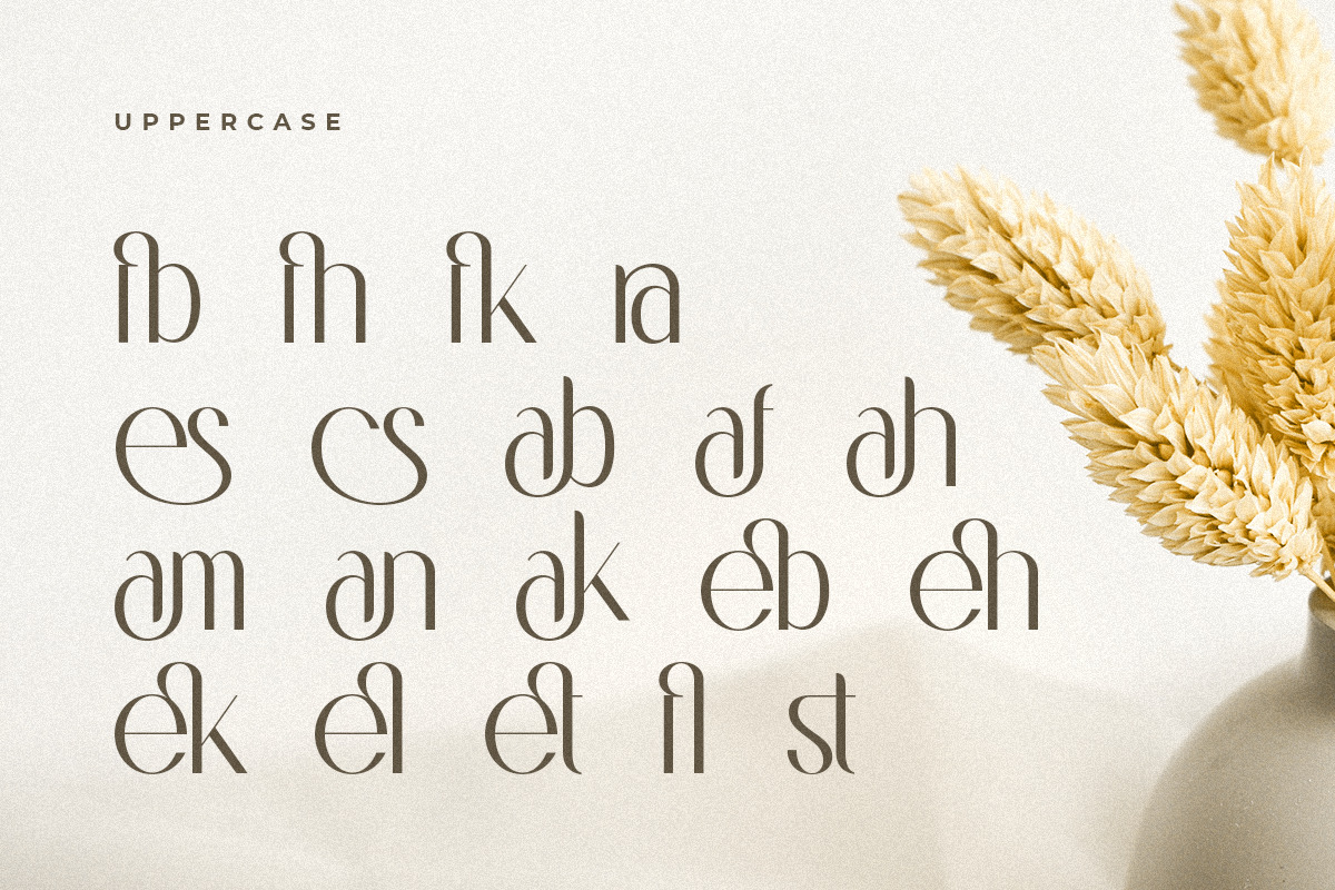 Bridge - Modern Feminine Sans Serif Bridge - Modern Feminine Sans Serif