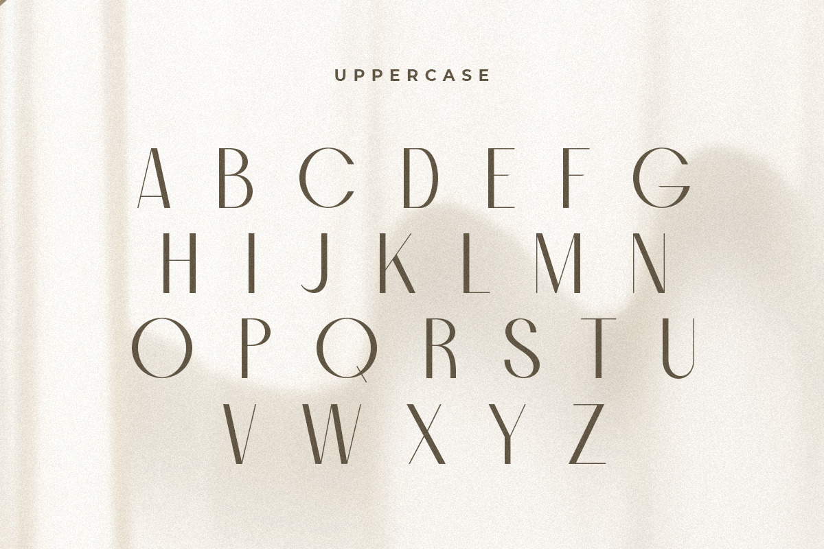 Bridge - Modern Feminine Sans Serif Bridge - Modern Feminine Sans Serif