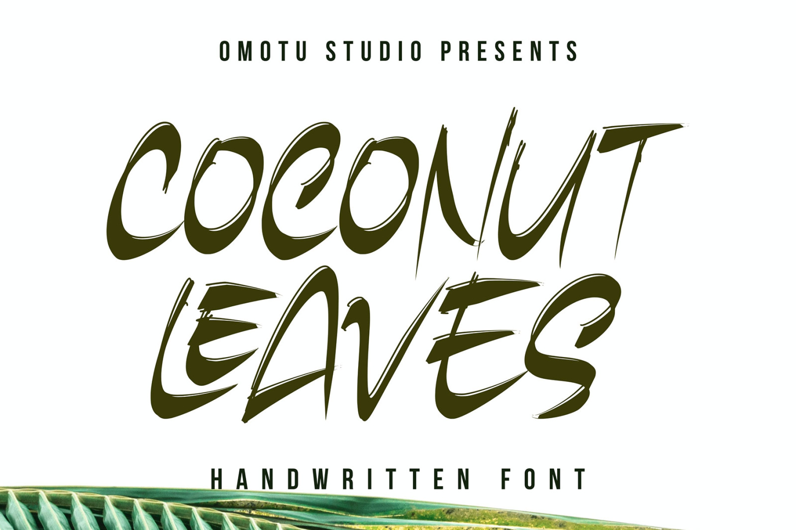Coconut Leaves Coconut Leaves