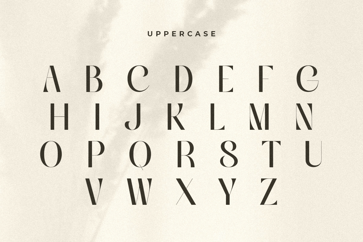 Young - Modern Beauty Sans Serif Young - Modern Beauty Sans Serif