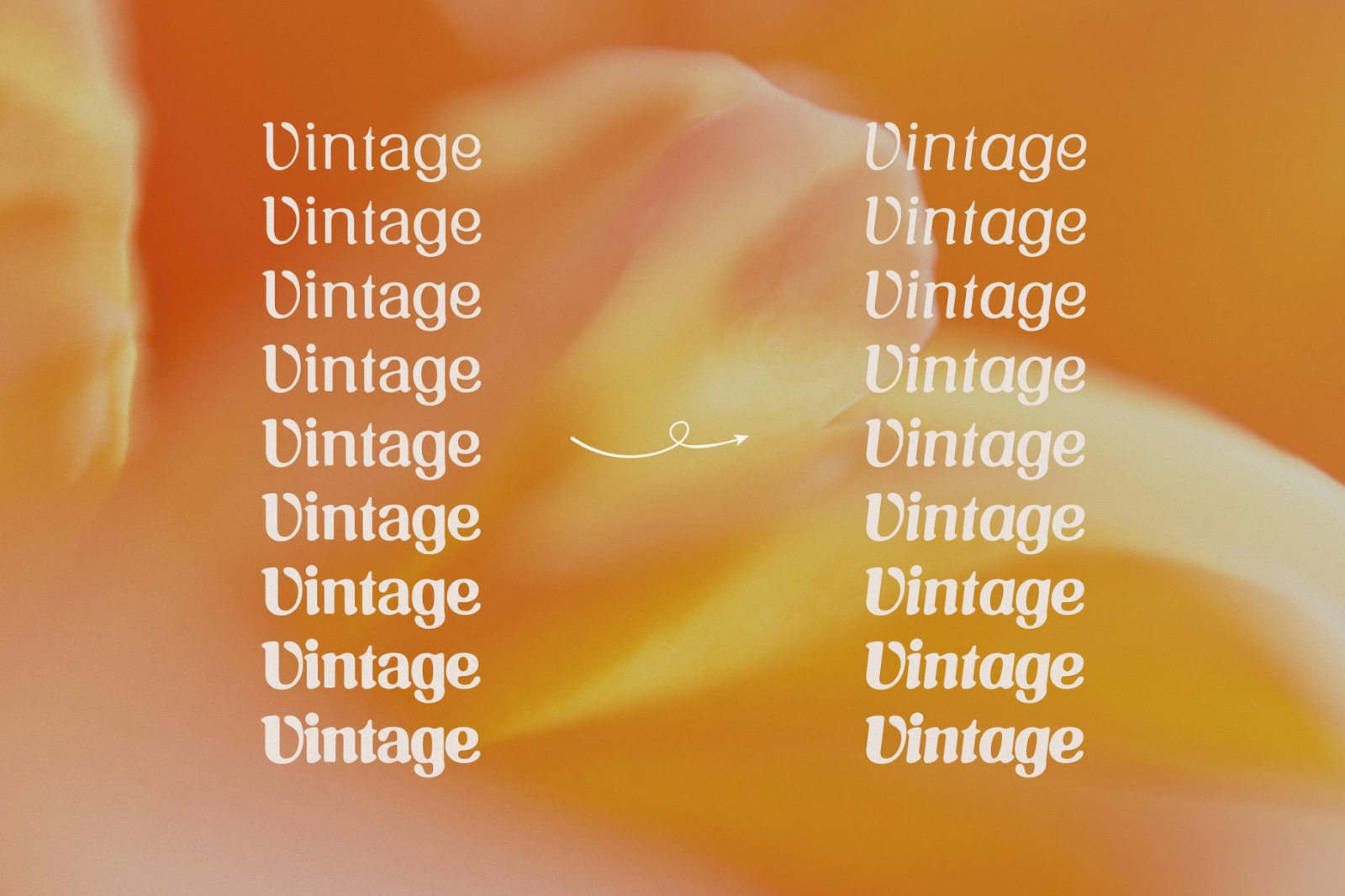 Vintage Oracle Typeface Vintage Oracle Typeface