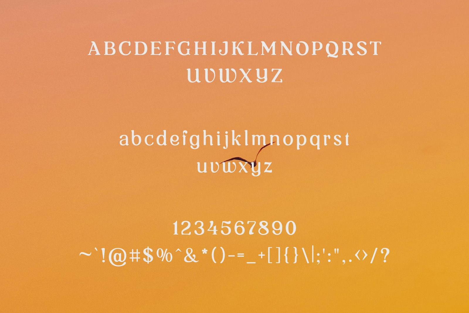 Vintage Oracle Typeface Vintage Oracle Typeface