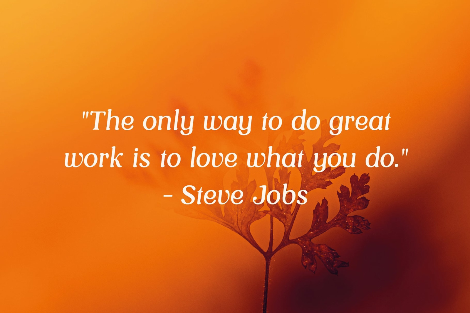 Vintage Oracle Typeface Vintage Oracle Typeface