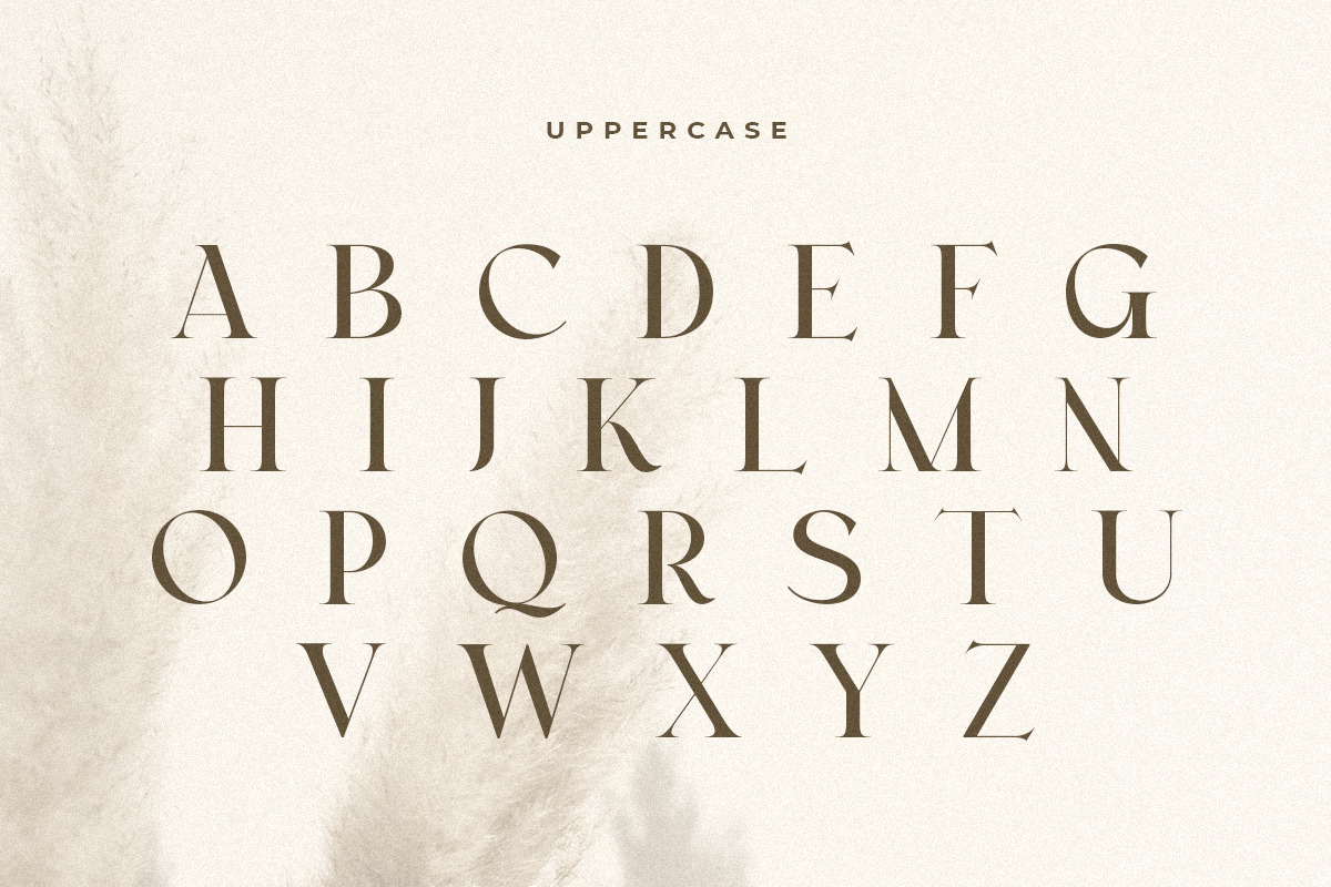 Monica - Modern Elegant Serif Font Monica - Modern Elegant Serif Font