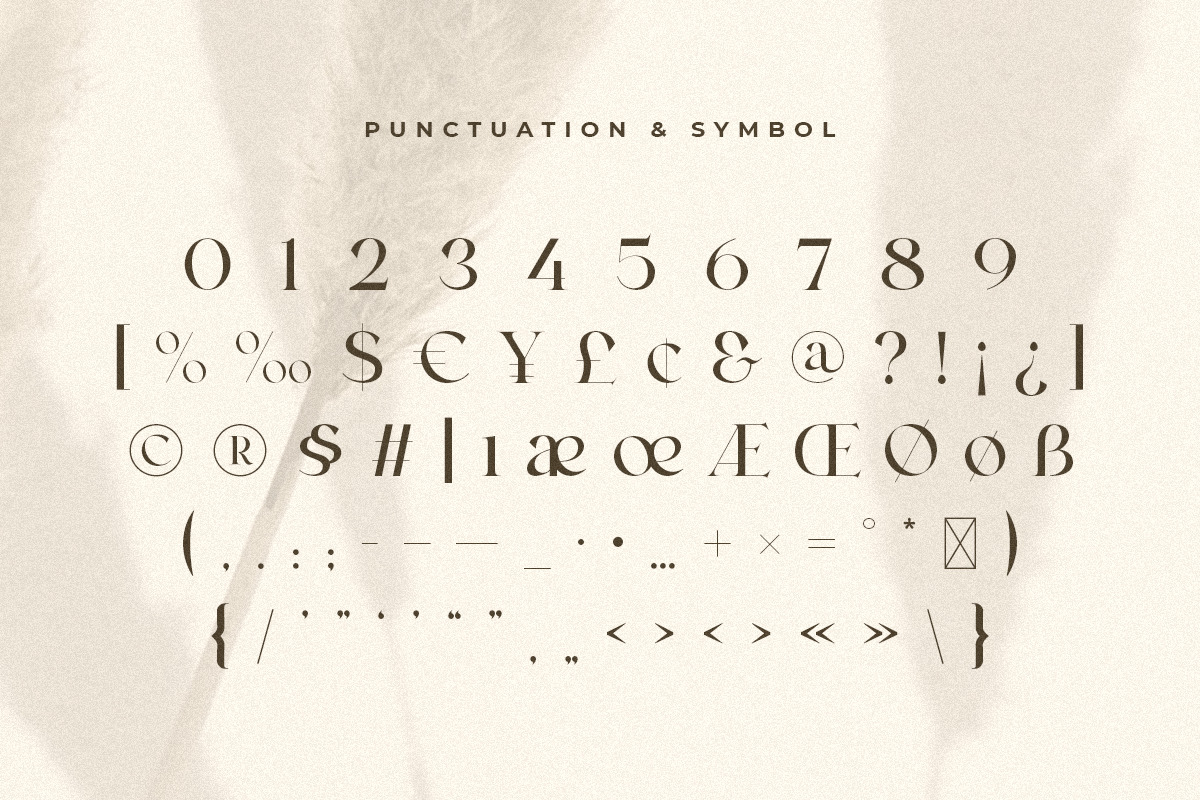 Monica - Modern Elegant Serif Font Monica - Modern Elegant Serif Font