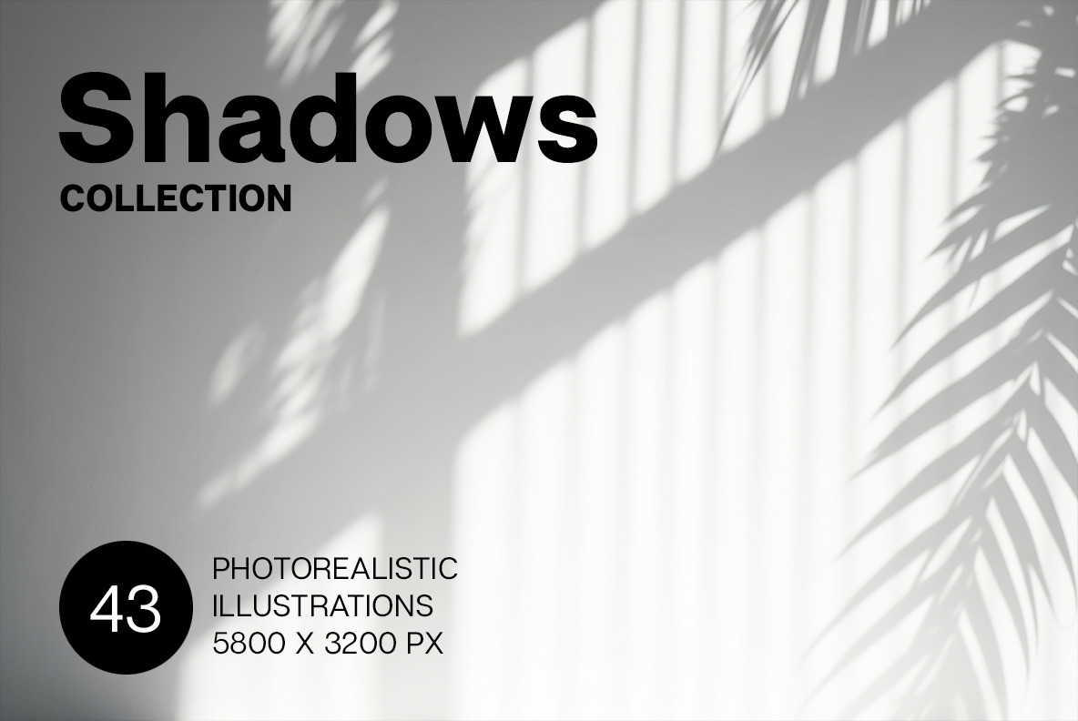 Shadows Shadows