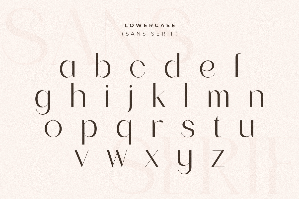 Roomy - Modern Display Font Duo Roomy - Modern Display Font Duo