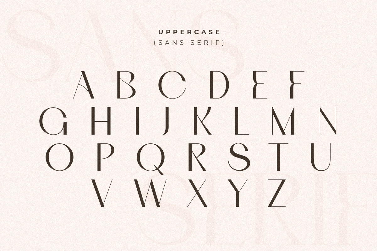 Roomy - Modern Display Font Duo Roomy - Modern Display Font Duo