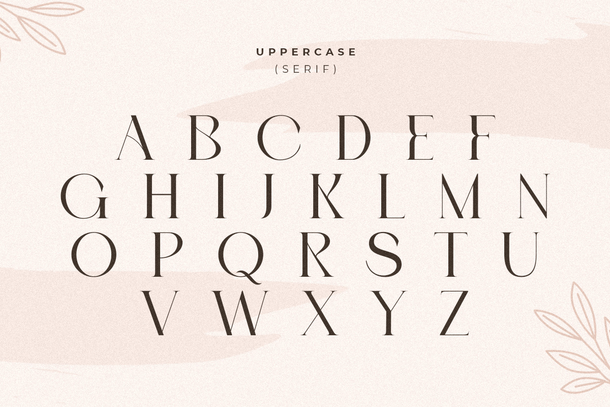 Roomy - Modern Display Font Duo