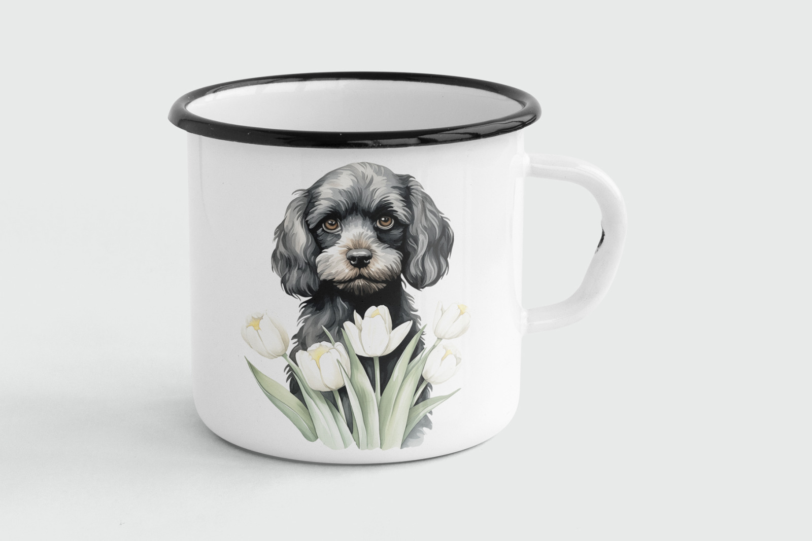Cavapoo Cavapoo