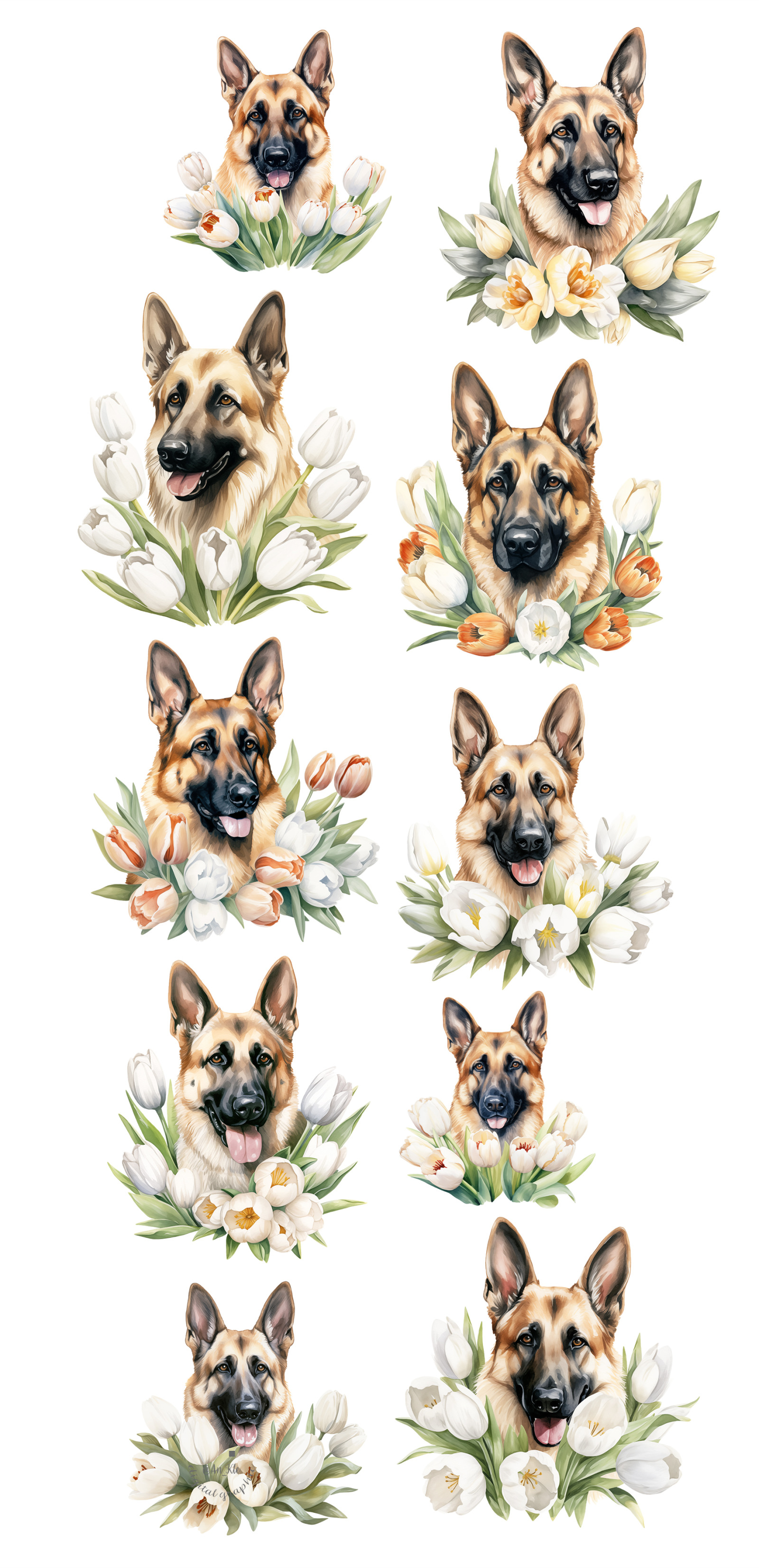 German Shepherd German Shepherd