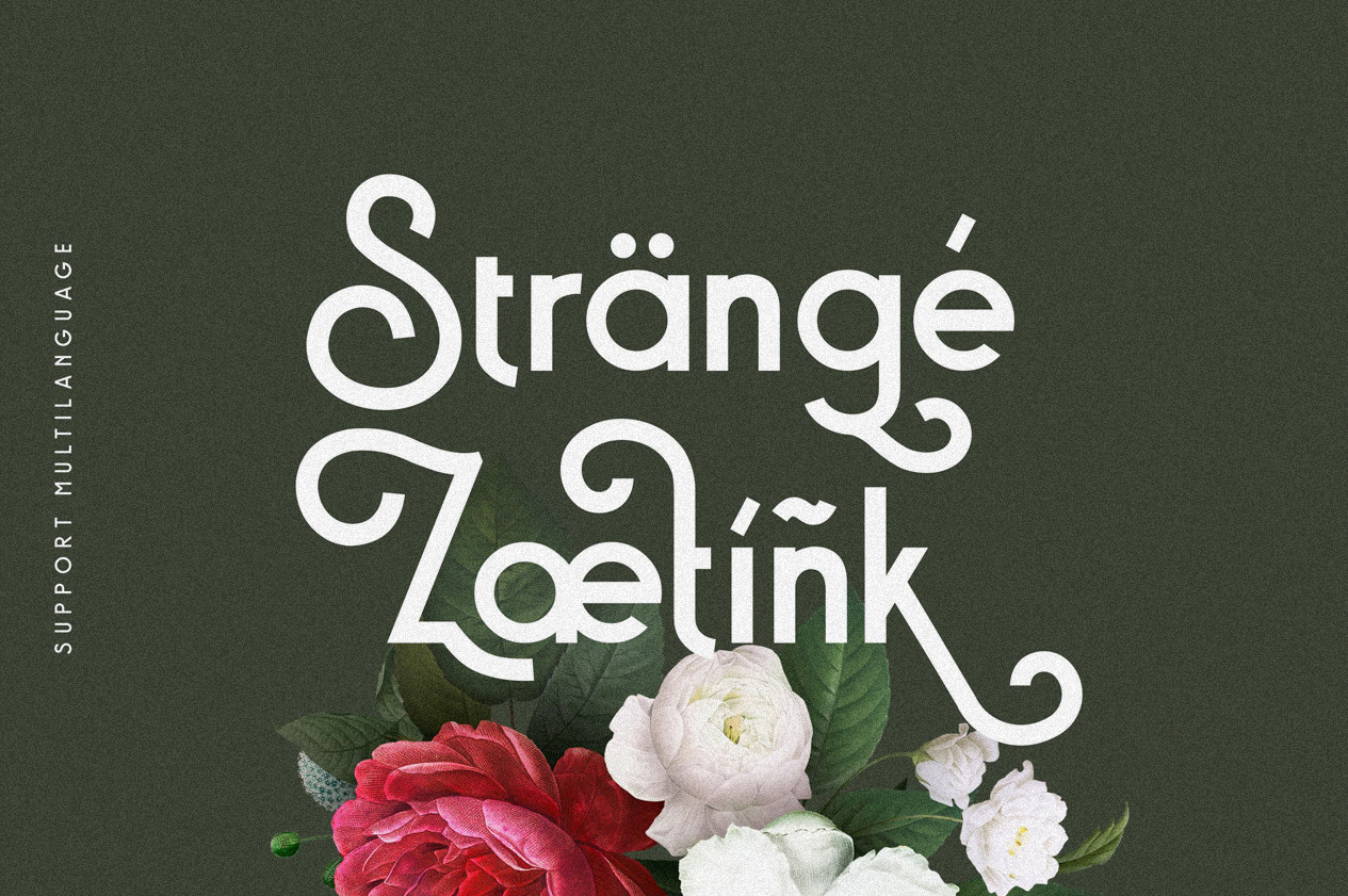 Baxoe | Elegant and Fancy Typeface Baxoe | Elegant and Fancy Typeface