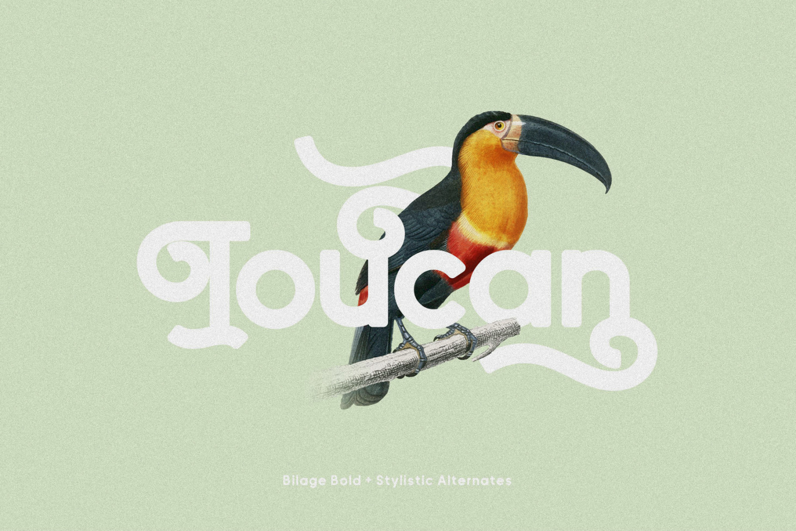 Bilage Font Bilage Font