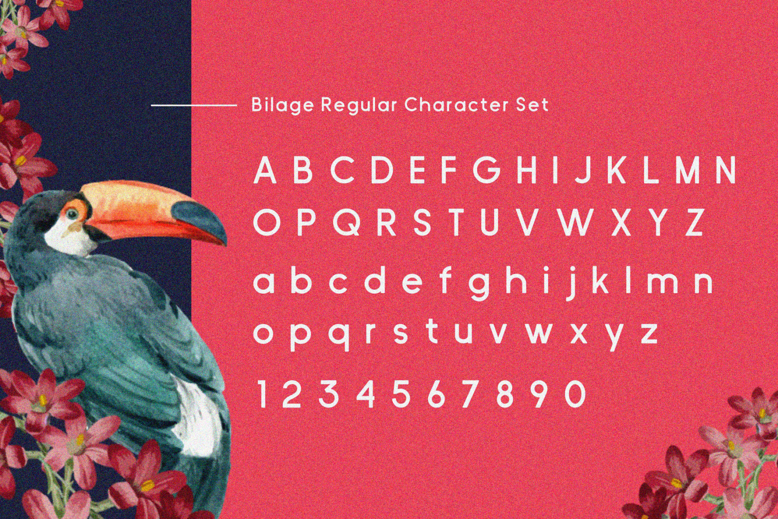 Bilage Font