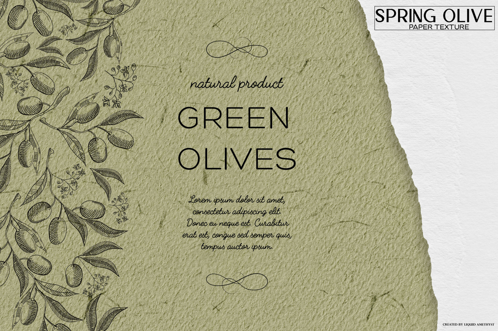 Spring Olive Handmade Paper Set