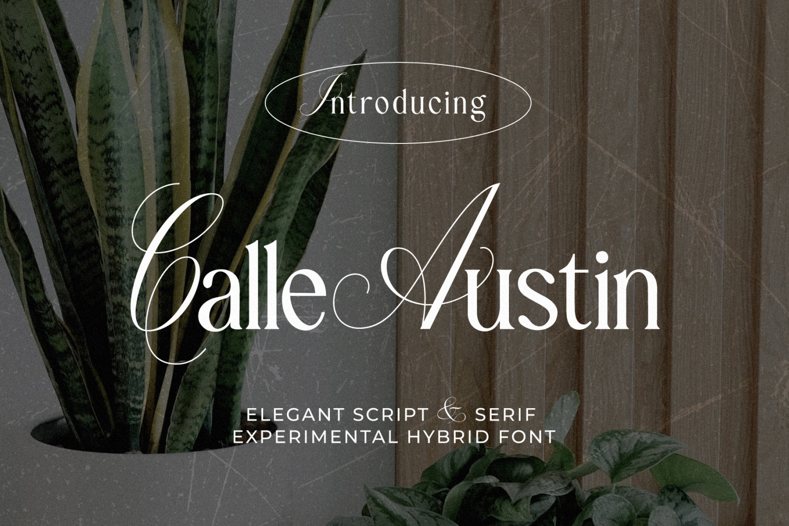 Calle Austin - Hybrid Typeface Calle Austin - Hybrid Typeface