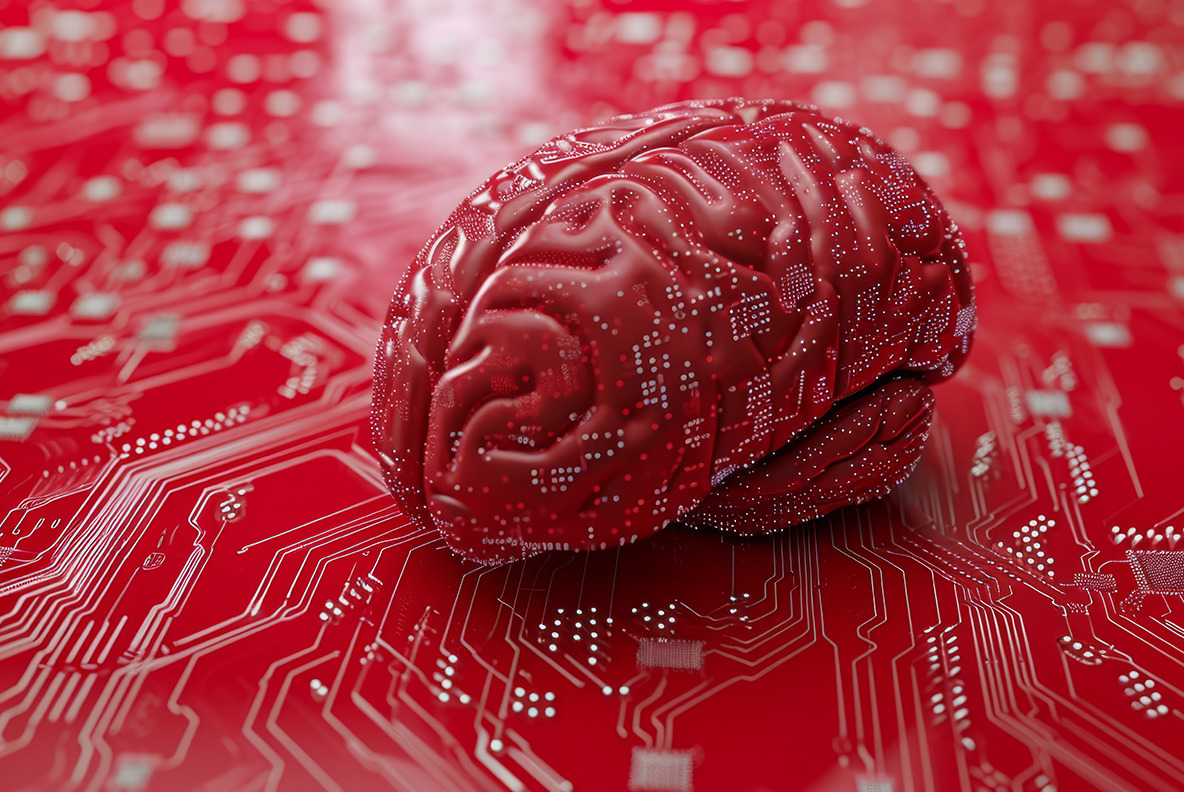 Microcircuits brain