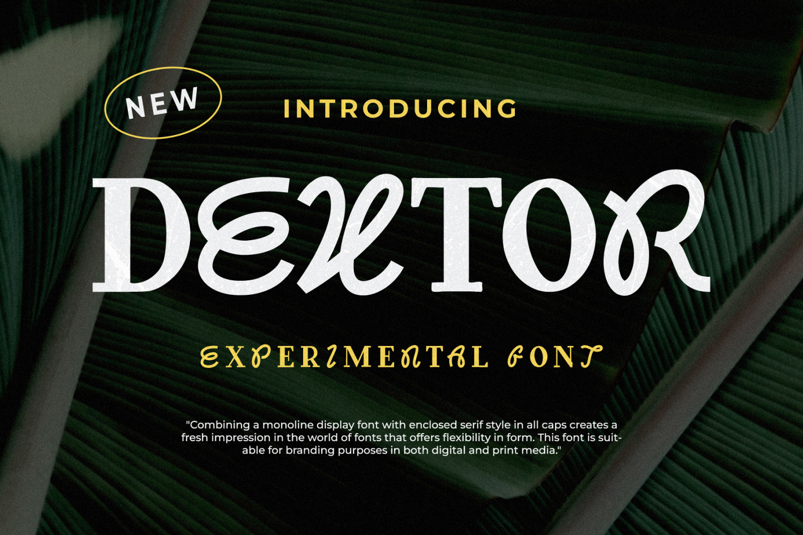 Dextor - Display Font Dextor - Display Font