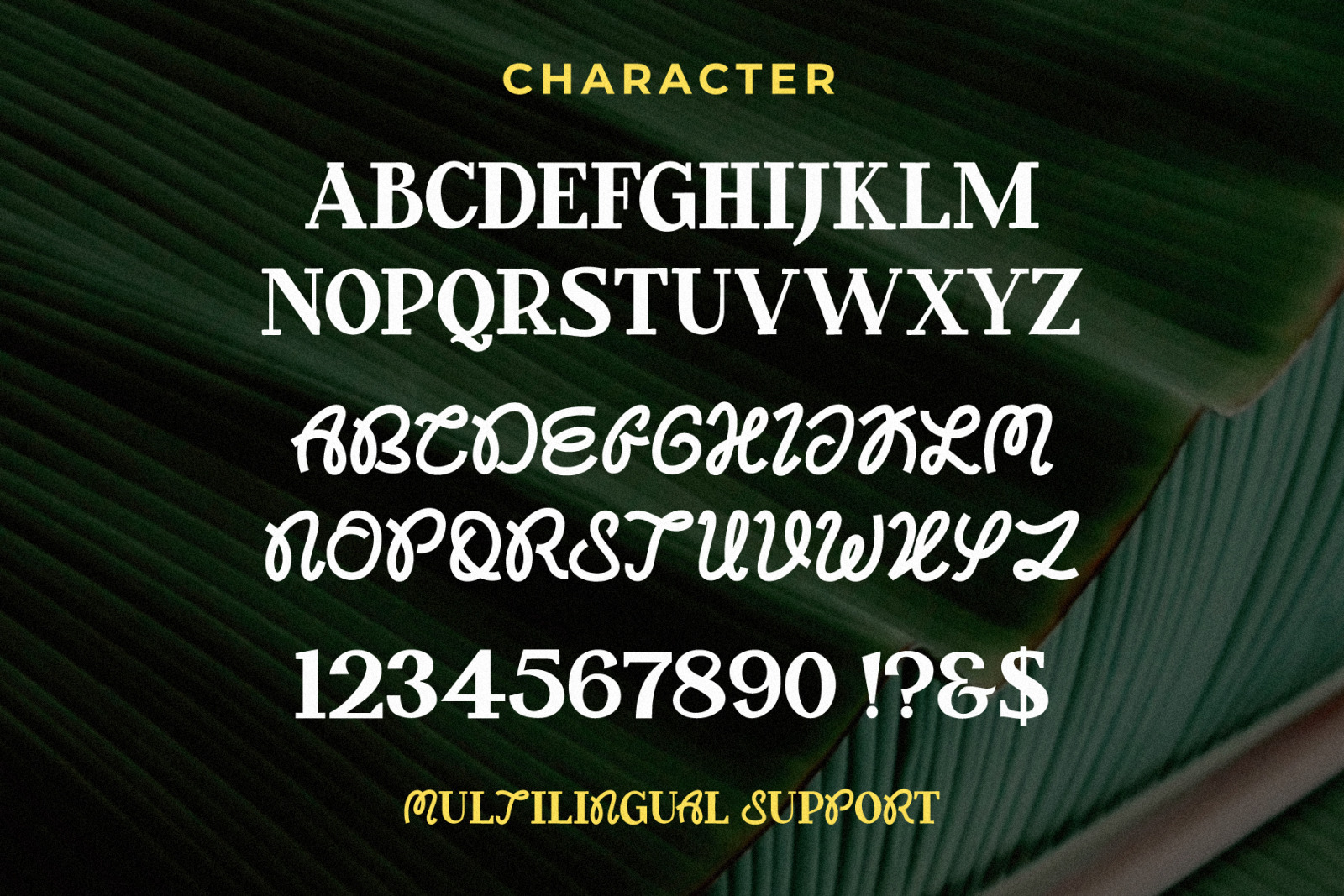 Dextor - Display Font