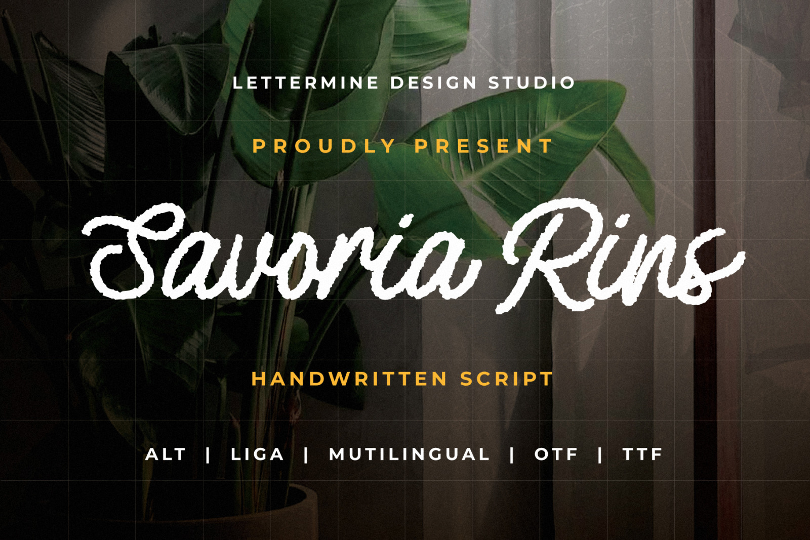 Savoria Rins - Monoline Script