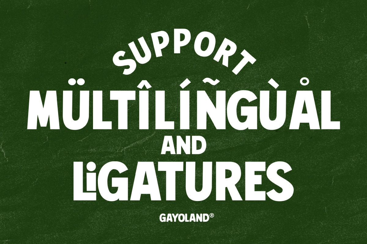 Gayo Land - Sans Serif Display Bold Font Gayo Land - Sans Serif Display Bold Font