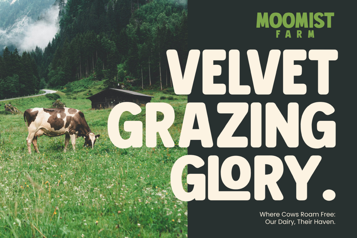 Gayo Land - Sans Serif Display Bold Font Gayo Land - Sans Serif Display Bold Font