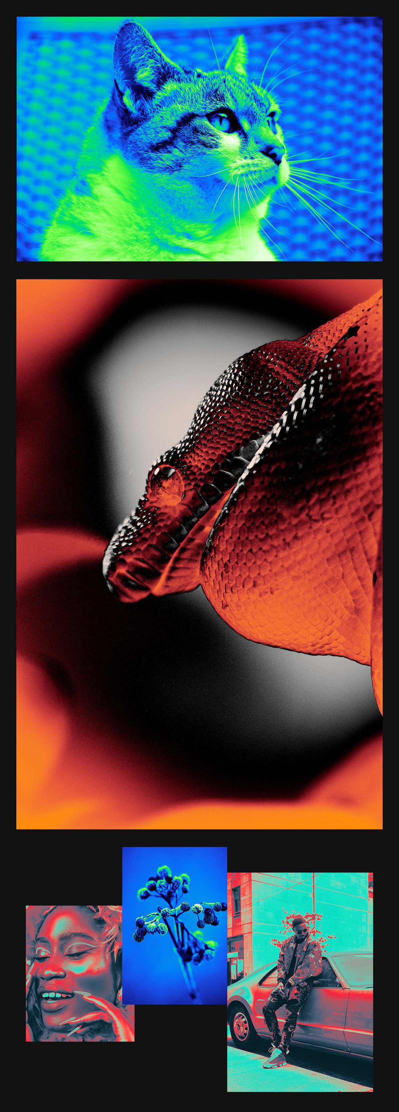 Acid gradient maps photo effects 4 colors Acid gradient maps photo effects 4 colors