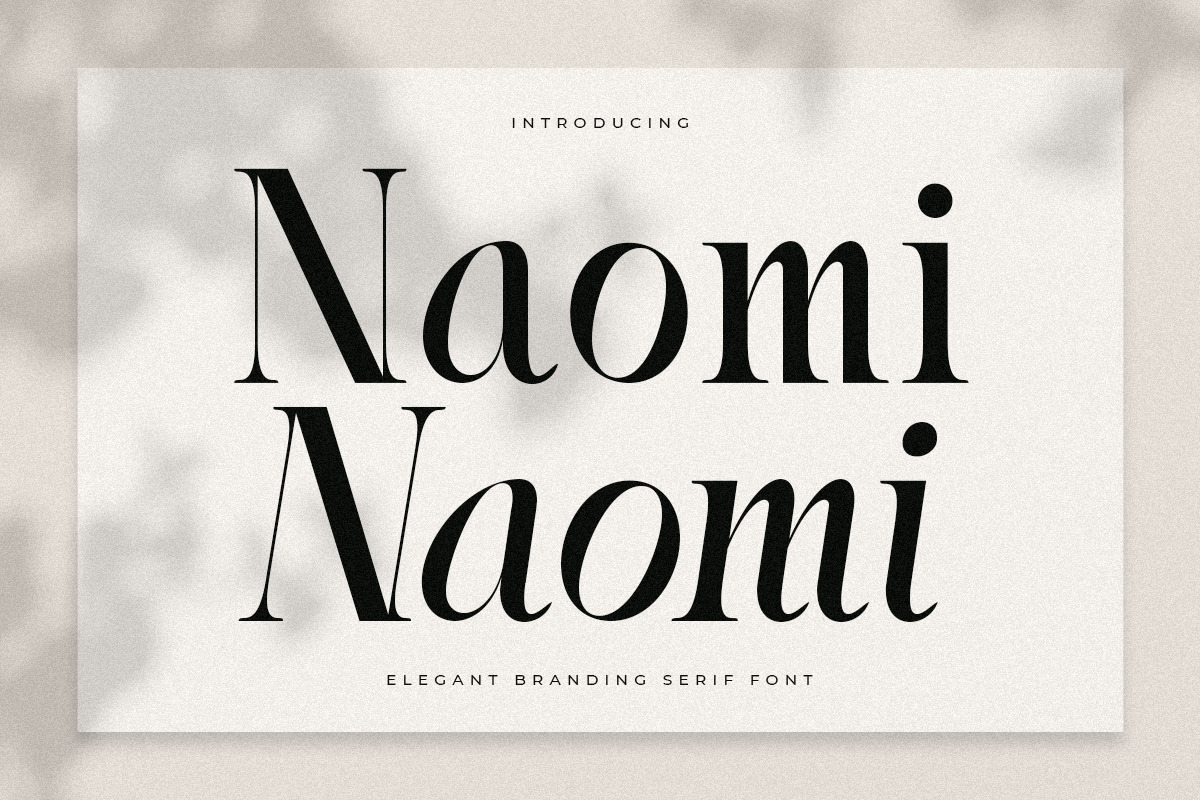 Naomi - Elegant Branding Serif Font