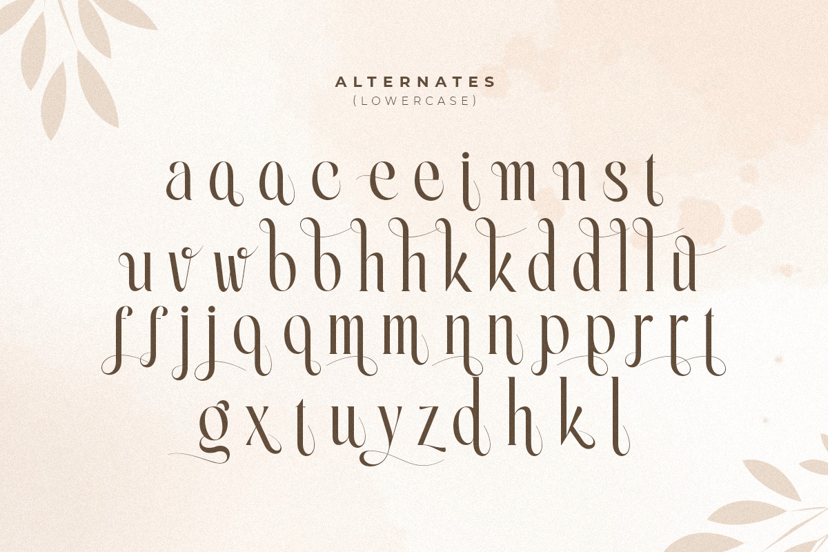 Erlangga - Elegant Beauty Serif Font