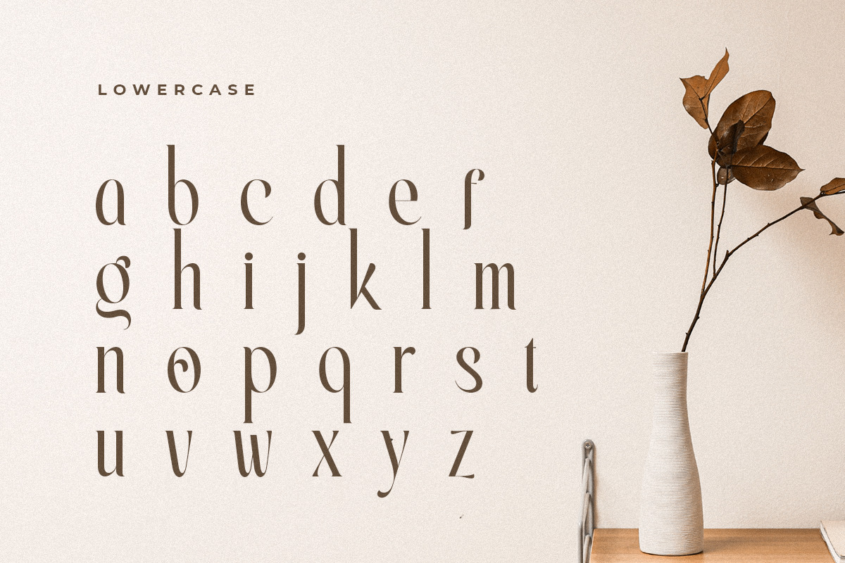 Erlangga - Elegant Beauty Serif Font