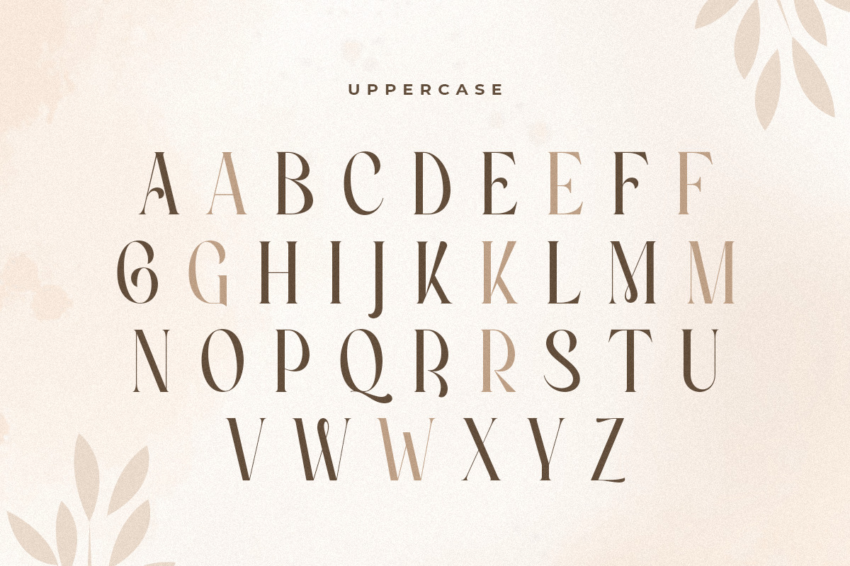 Erlangga - Elegant Beauty Serif Font