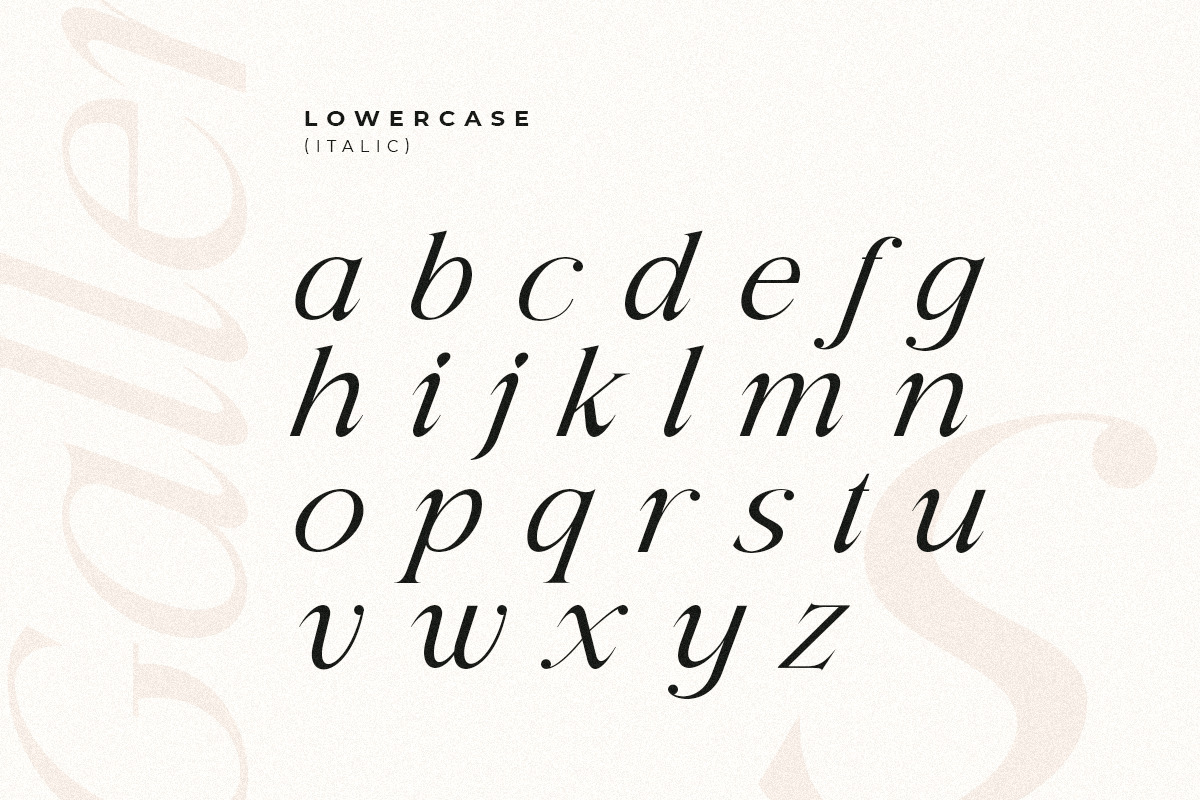 Gallery - Modern Beauty Ligature Serif Gallery - Modern Beauty Ligature Serif