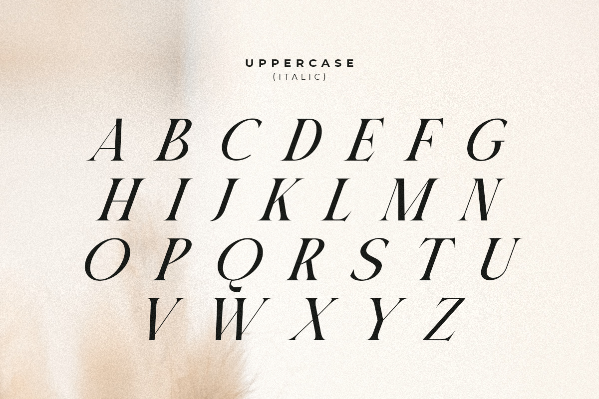 Gallery - Modern Beauty Ligature Serif