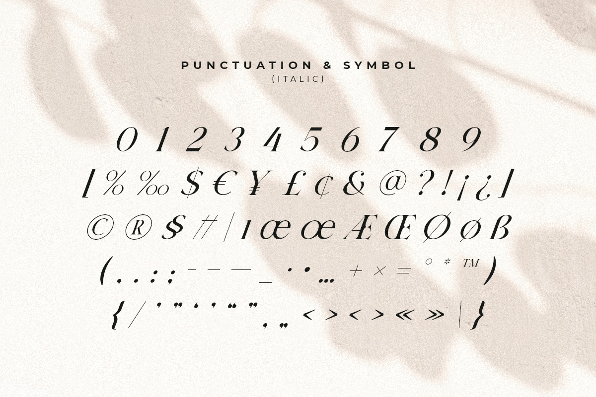 Gallery - Modern Beauty Ligature Serif Gallery - Modern Beauty Ligature Serif