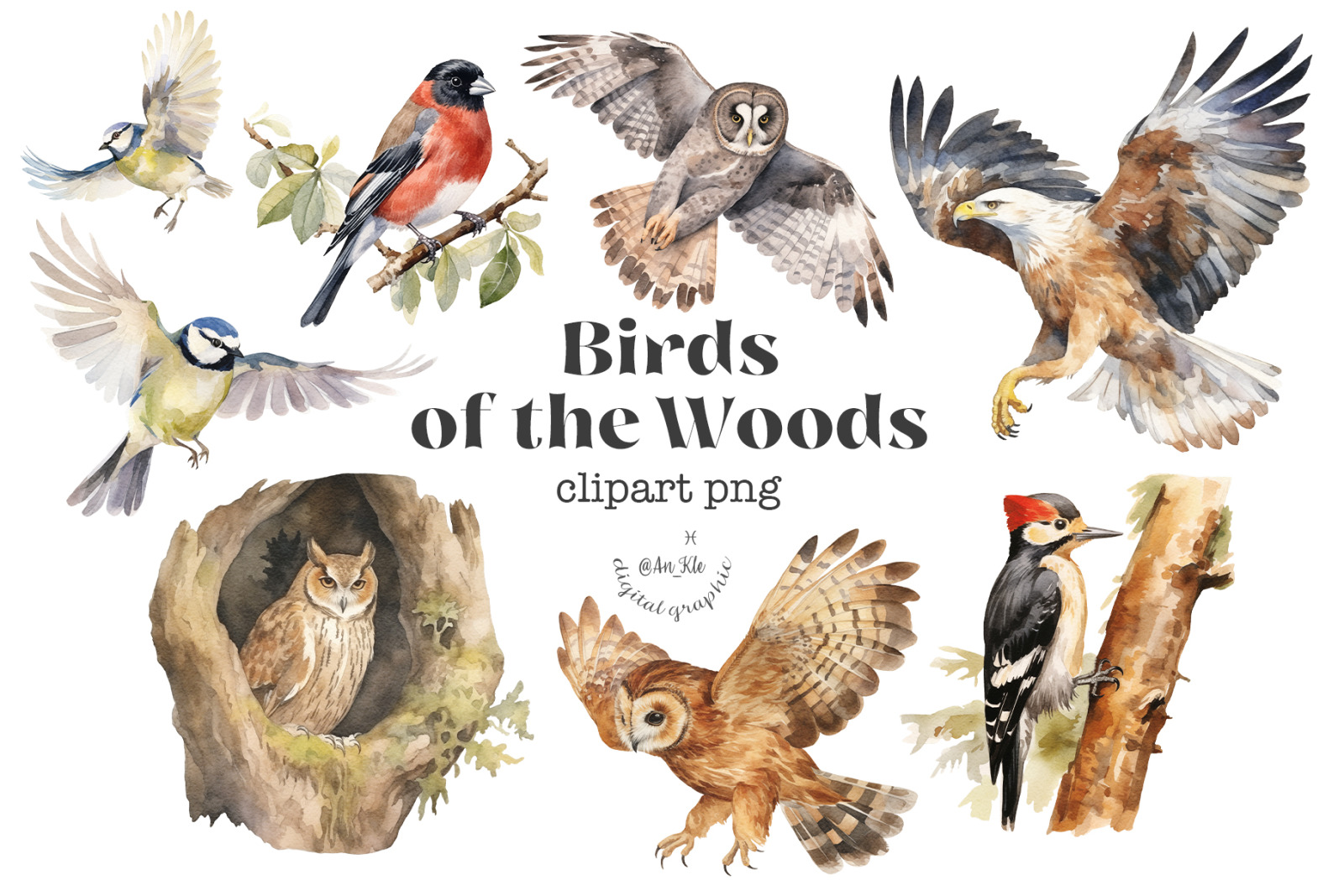 Birds of the Woods