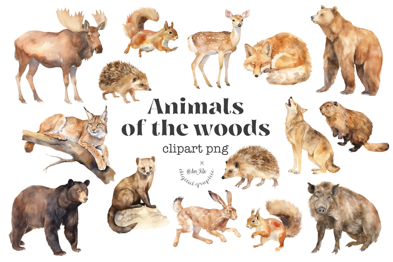 Woodland Animals Woodland Animals