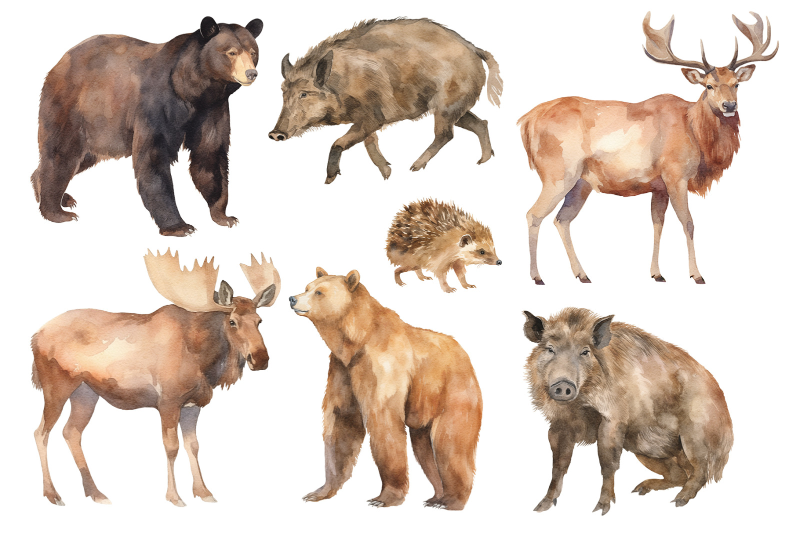 Woodland Animals Woodland Animals