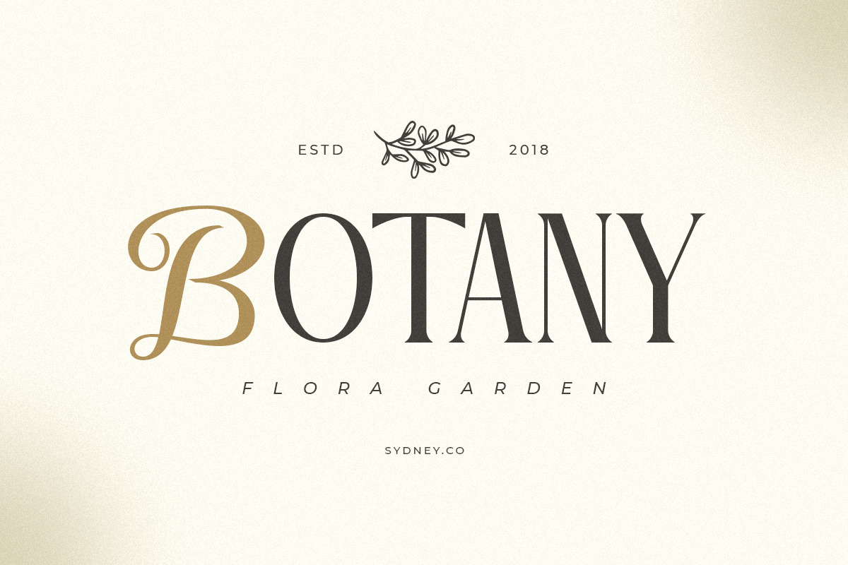 Rosemary - Modern Aesthetic Font Rosemary - Modern Aesthetic Font