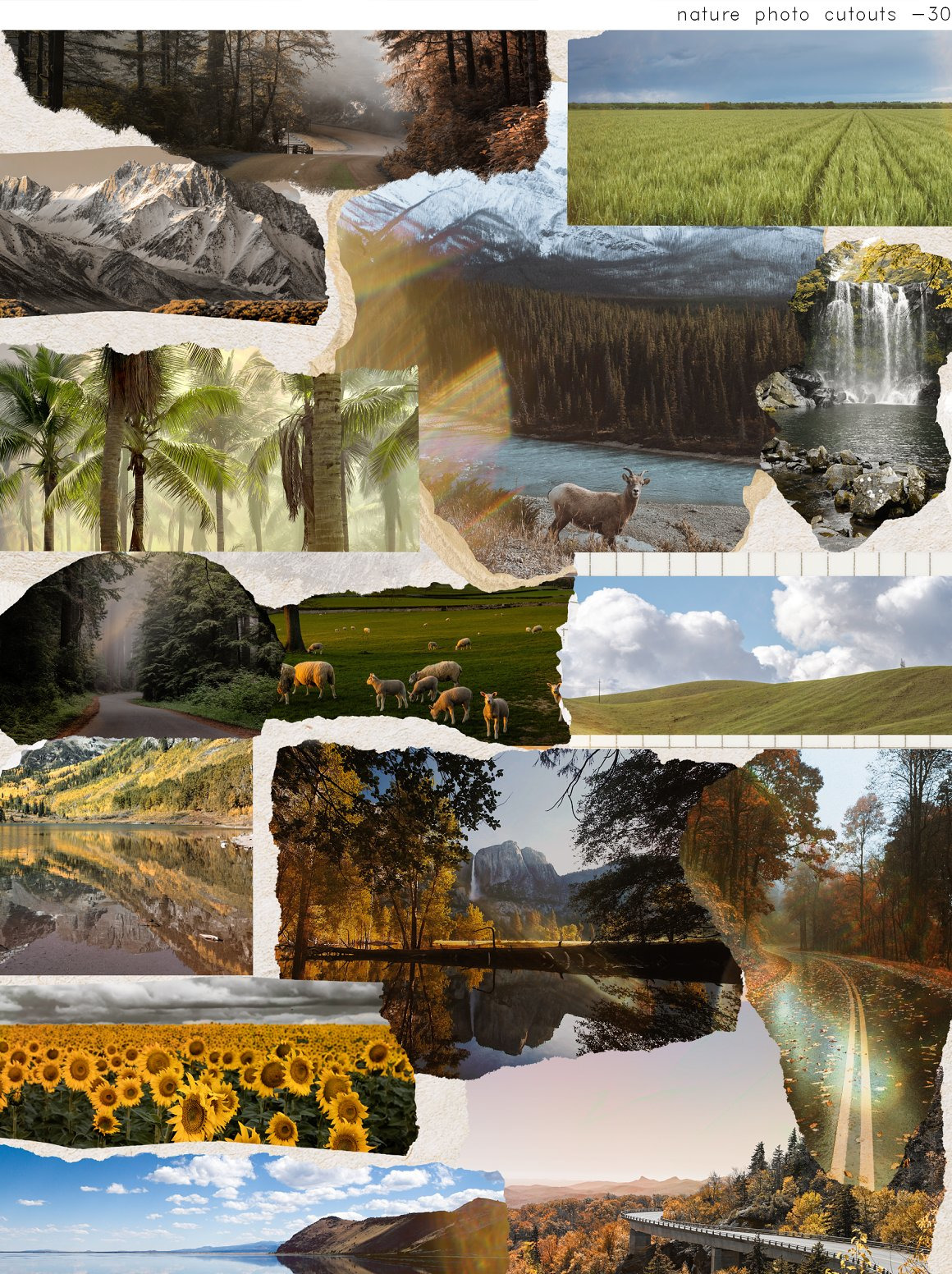 NATURE’S SYMPHONY collage NATURE’S SYMPHONY collage