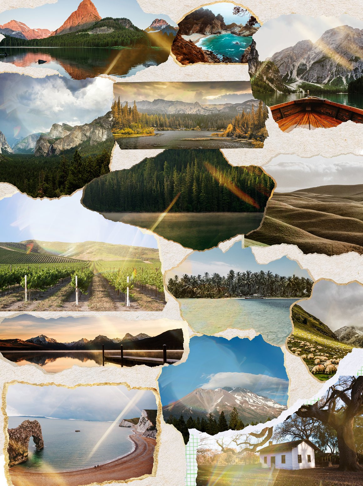 NATURE’S SYMPHONY collage NATURE’S SYMPHONY collage